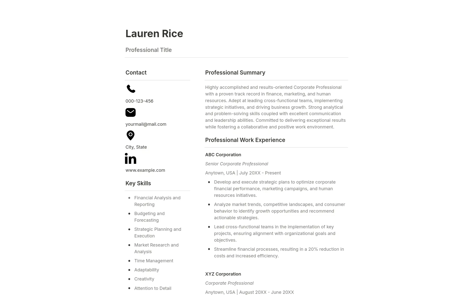 Modern Professional Resume Template